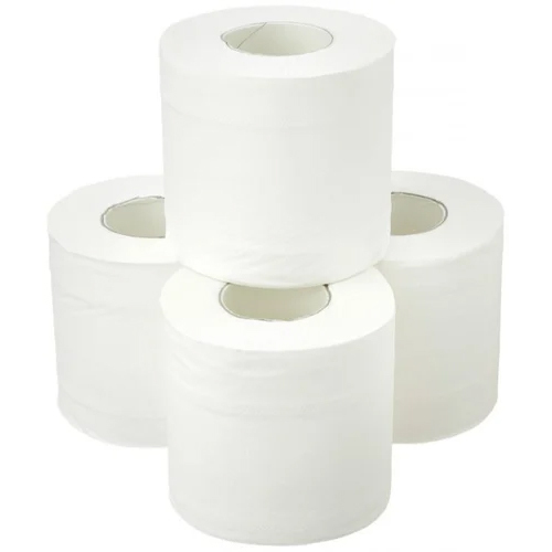 Toilet Rolls 100GMS