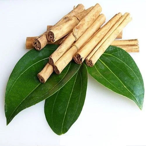 Herbal Product Cinnamomum Zeylanicum Extract Powder