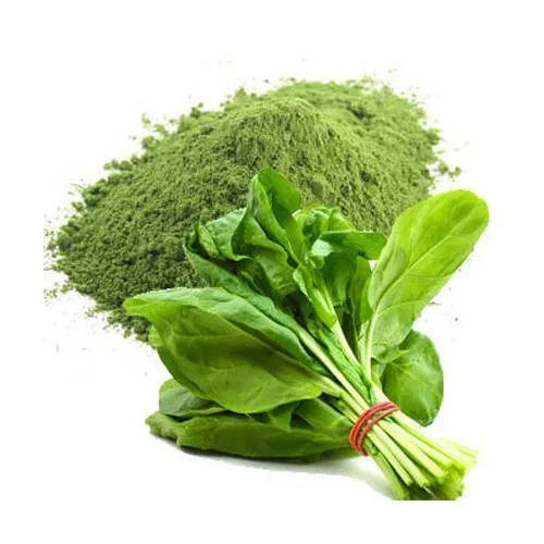 Herbal Product Spinach Extract Powder