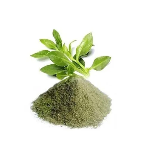 Kalmegh Extract Powder