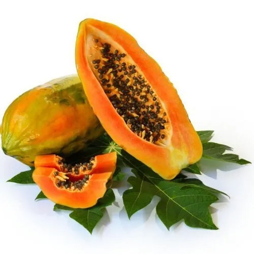 Papaya Leaf Extract Powder