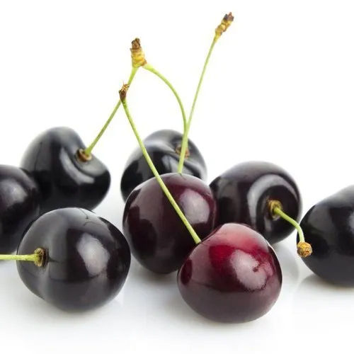 Black Cherry Extract Grade: Medical Grade