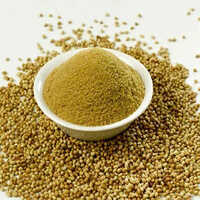 Coriander Extract Powder