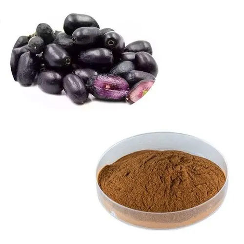 Herbal Product Jamun Extract Powder