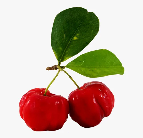 Cherry Extract Powder