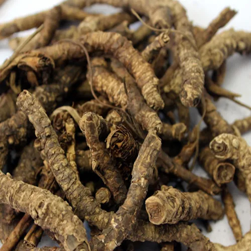 Kutki Extract
