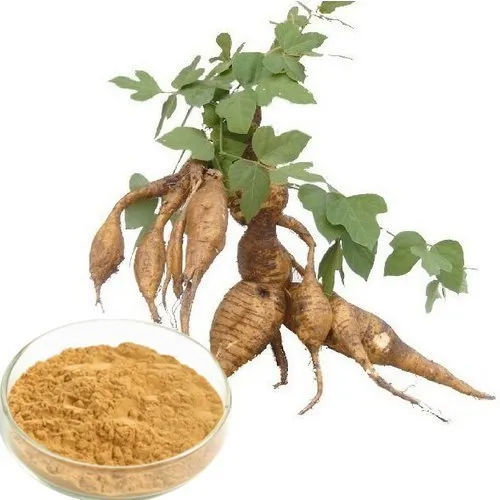 Brown Kudzu Root Extract