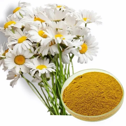 Matricaria Chamomilla Extract Grade: Medical Grade