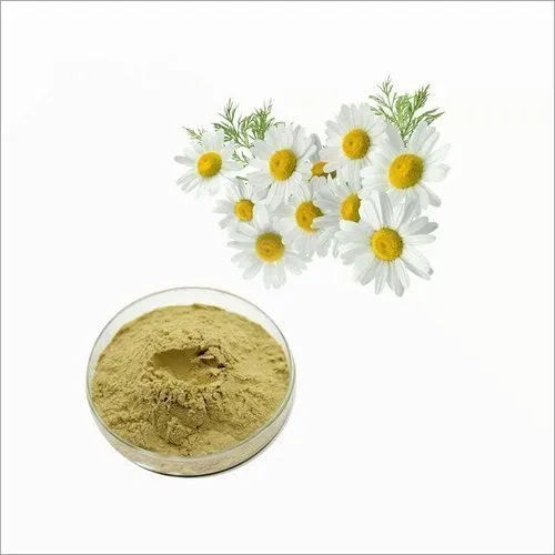 Chamomile Extract Powder Grade: Medical Grade