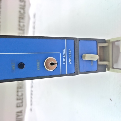 TRICONEX PM 6300 (7400132) MODULE