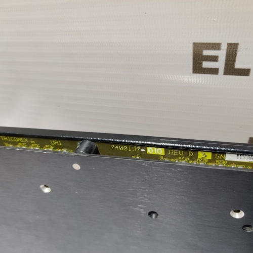 TRICONEX AI 6700 (7400137) MODULE