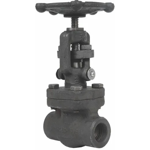 Black Forged Steel Globe Valve