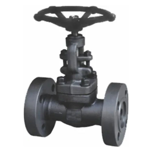 Forged Flange End Globe Valve - Color: Black