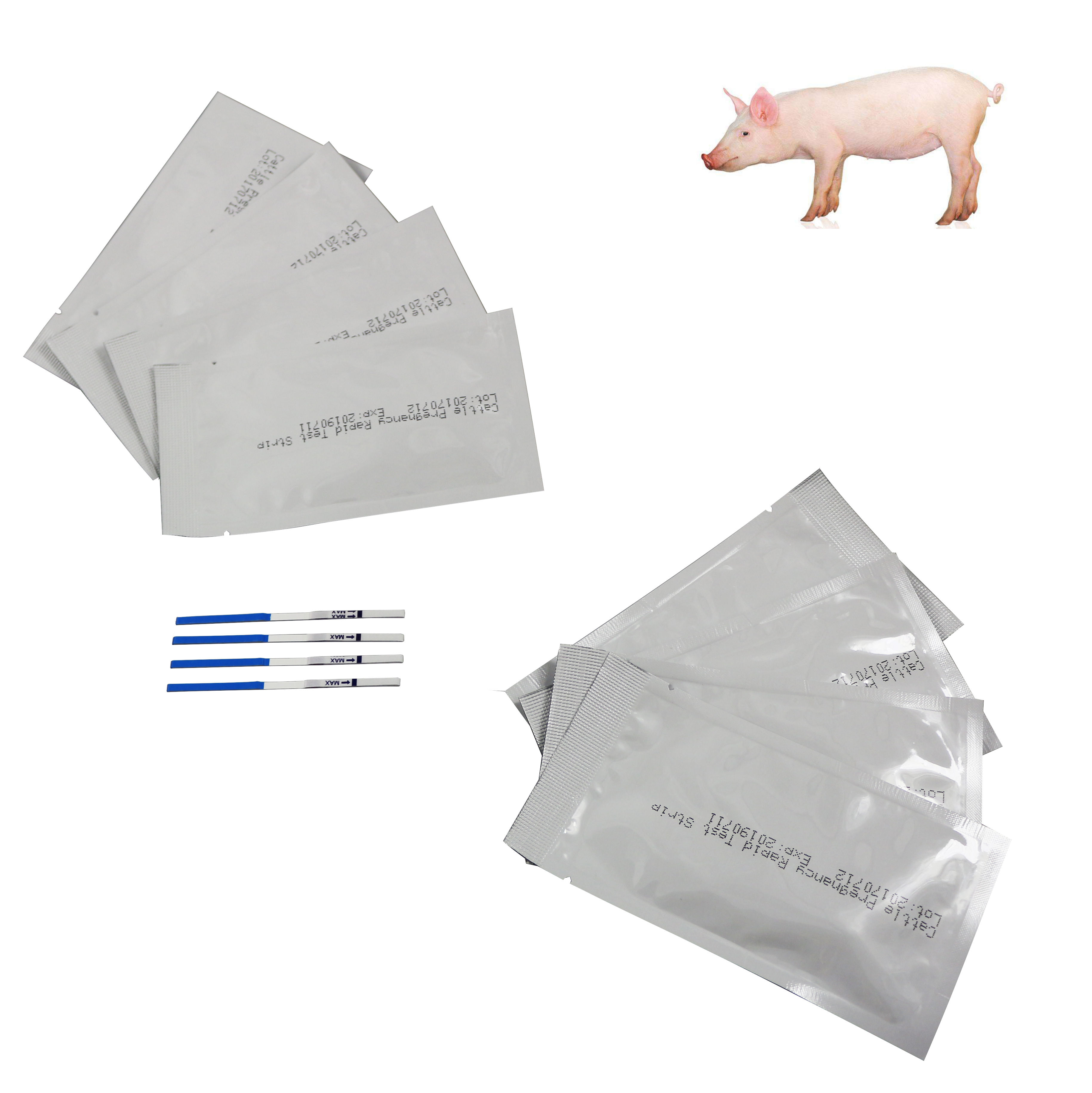 Pig pregnancy test strip Early pregnancy diagnostic test strip