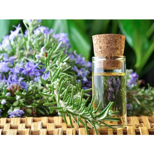 Rosemary Oil