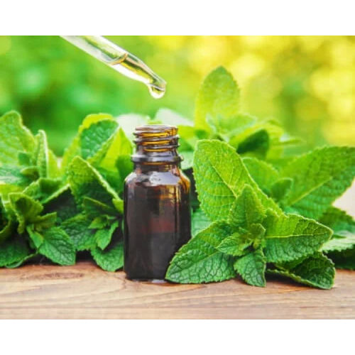 Mentha Arvensis Oil