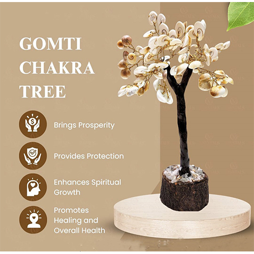 Gomti Chakra Tree