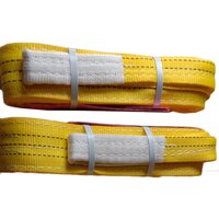 3 Ton 3 Mtr Polyester Slings