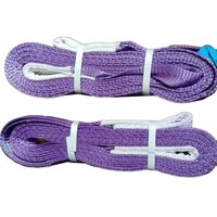 1 Ton 3 Mtr Polyester Slings