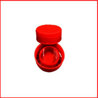 29 MM CTC Cap