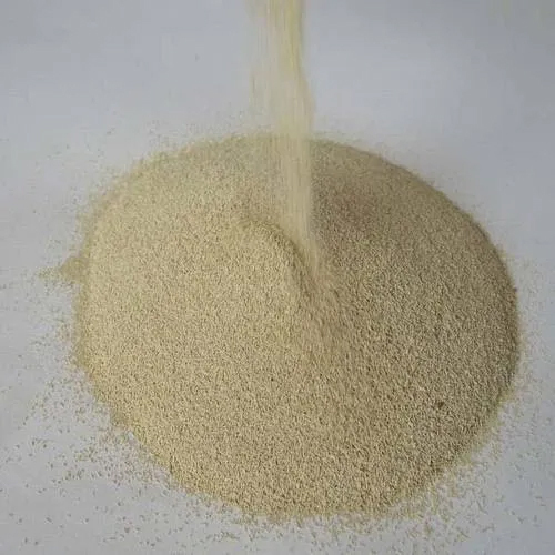 Live Yeast
