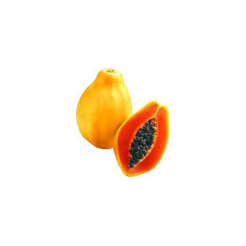 Common Red Papaya