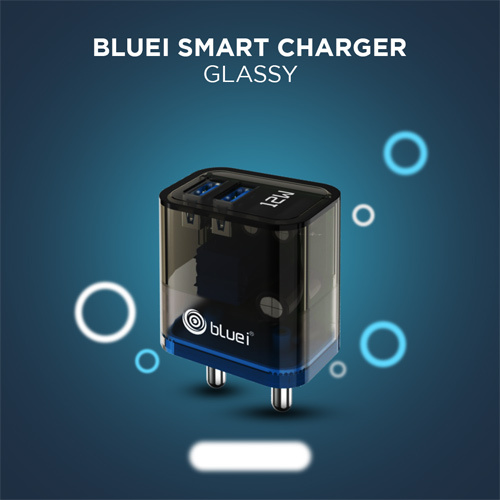 Bluei Smart Charger