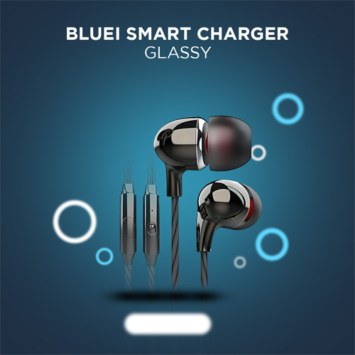 Bluei Smart Charger