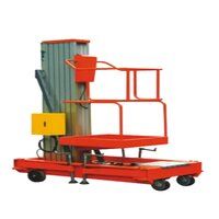 Dual Mast Goods Lift