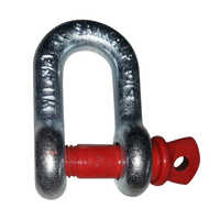 D Anchor Shackle - Color: Silver