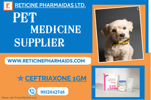 PET MEDICINE WHOLESALER