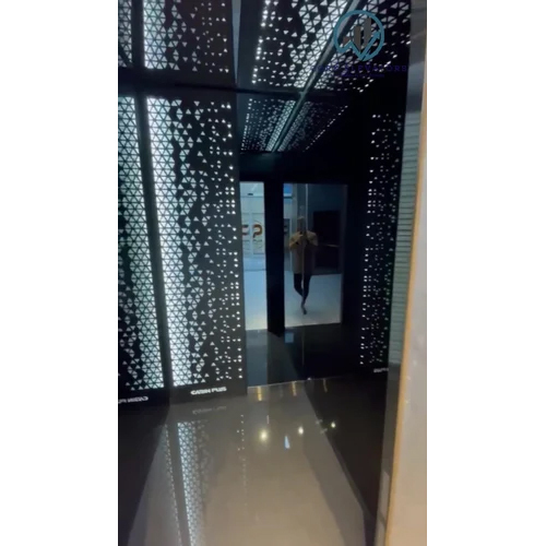 Elevator AMC Service in Ambika Vihar