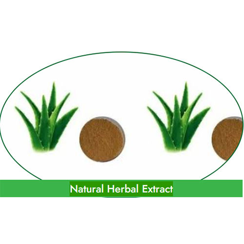 Natural Herbal Extracts Grade: Medical Grade