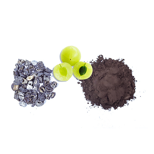 Amla Extract - Herbal Powder Form | Pure Amla Ingredients - Versatile and Nutrient-Rich Herbal Option for Various Applications