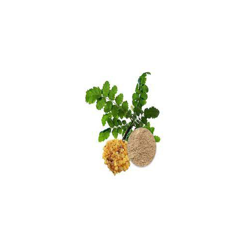 Boswellia Serrata Extract - Powder Form | Pure Boswellia Serrata Ingredients for Natural Wellness