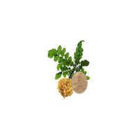 Boswellia Serrata Gum Extract - Ph Level: 4-7