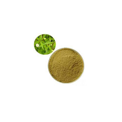 Eclipta Prostrata Extract