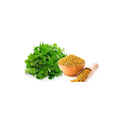 Fenugreek Extract