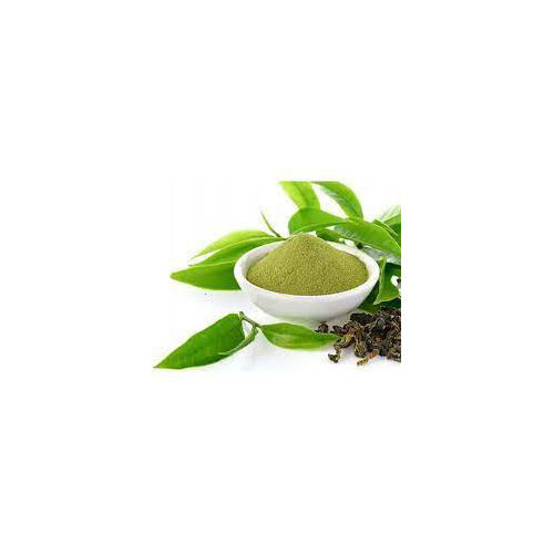 Green Tea Extract