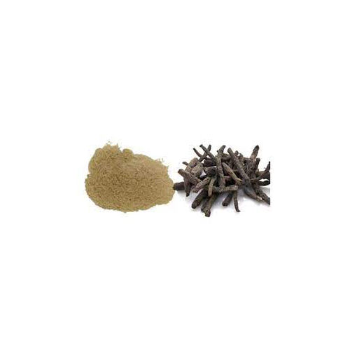 Kali Musli Dry Extract