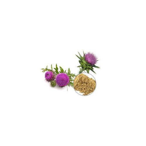 Milk Thistle Extract