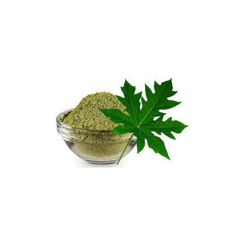 Green Papaya Leaf Extract