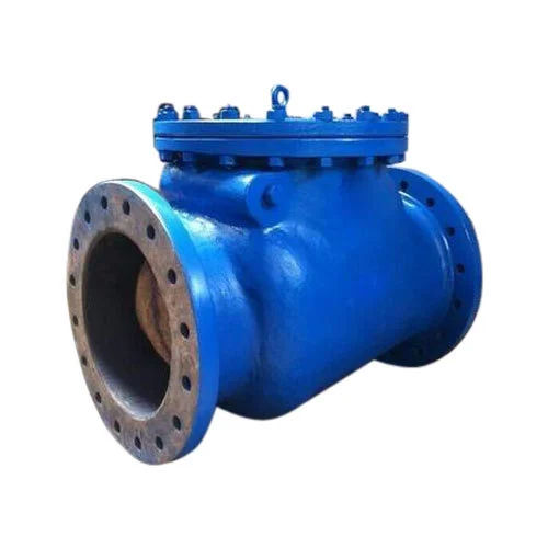 Metro Blue Swing Check Valve