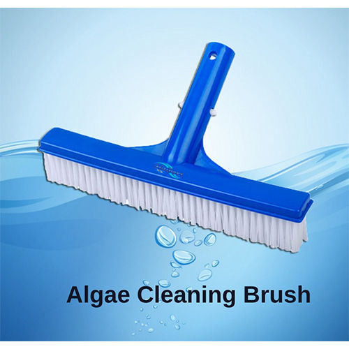 Algae Cleaning Brush - Application: Pool