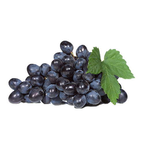 Fresh Black Grapes - Non-Peeled, Sweet and Earthy Flavor | Common Cultivation, IQF Processed, Rich in Antioxidants