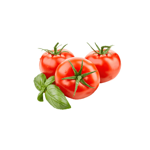 Fresh Tomato - Raw, Normal Shape | Vibrant Color, Vitamin Rich, Antioxidant Packed