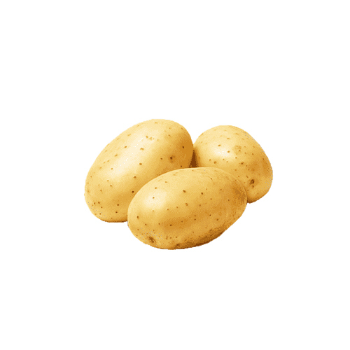 Fresh Potato - Raw, Normal Shape, Nil Moisture | Versatile Starchy Vegetable, Source of Complex Carbohydrates and Dietary Fiber