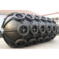 Black Pneumatic Rubber Fender