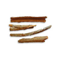 Wooden Cinchona Bark - Product Type: Crude Ayurvedic Products