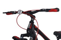 29 CAMERON S/S F/SHOX D/DISC TYRE - 29X2.40